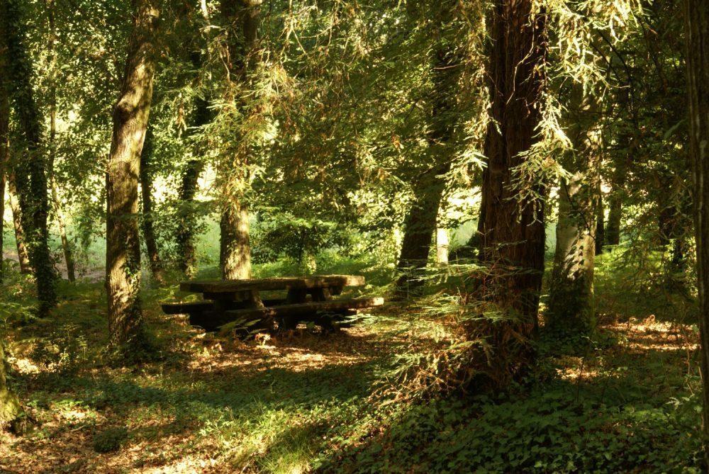 Alquerubim Quinta Da Fontoura旅馆 外观 照片