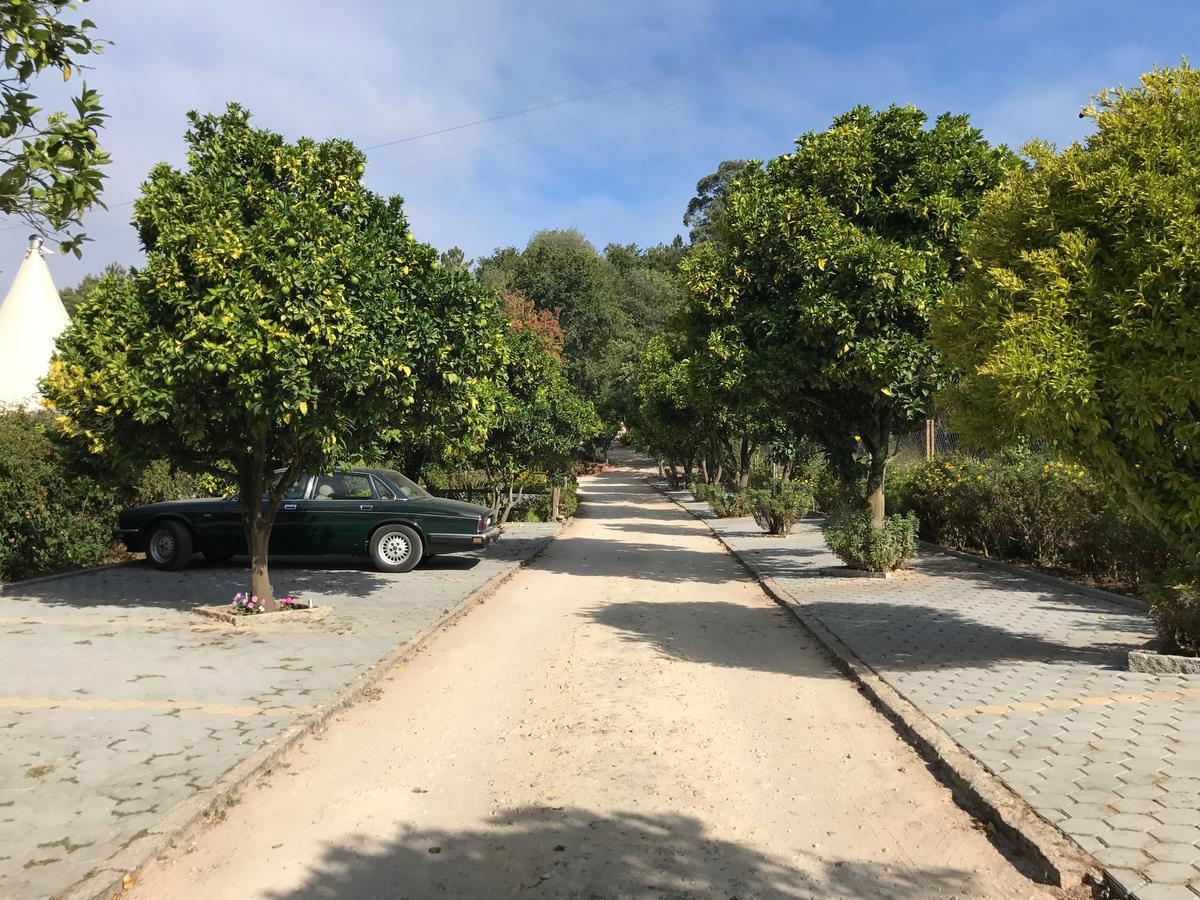 Alquerubim Quinta Da Fontoura旅馆 外观 照片